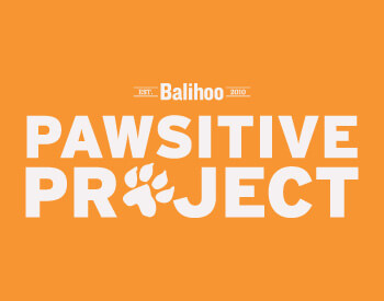 Pawsitive Project