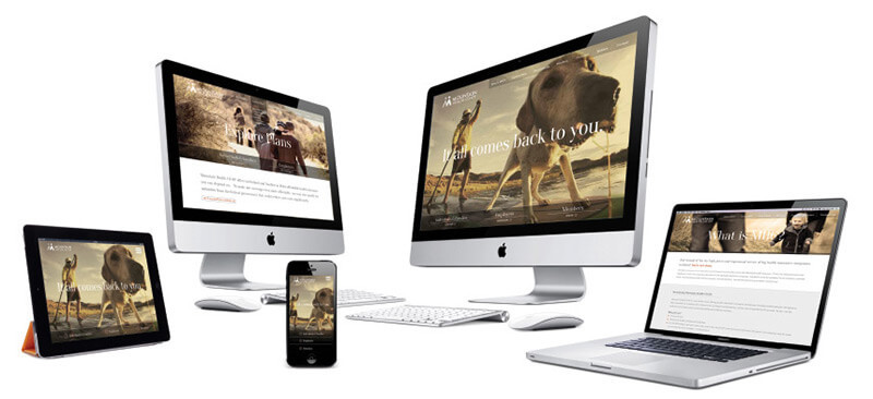 Montana Health Responsive Website