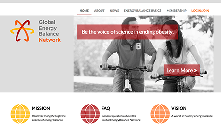 Global Energy Network