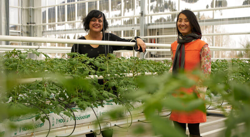 Vertical Harvest Workers